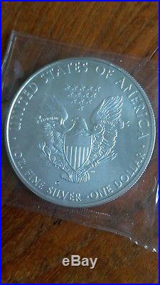 10 x AMERICAN EAGLE DOLLAR 1OZ SILVER COINS, Uncirculated. 999 Solid Silver
