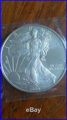 10 x AMERICAN EAGLE DOLLAR 1OZ SILVER COINS, Uncirculated. 999 Solid Silver