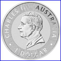 1 OZ 9999 Solid Silver Red Kangaroo 2025 Perth Mint Bullion Investment Coin