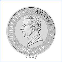 1 Ounce 2024 Solid Silver Perth Mint Coin Red Kangaroo Bullion Coin in Capsule