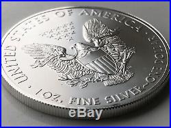 2013 United States Of America Silver Eagles. 999 Solid X 20 In A Tube Lot 1