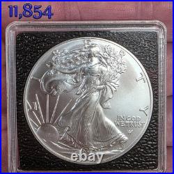 2021 SILVER EAGLE TYPE 2 1 OZ. FINE SILVER BULLION COIN in a INTERCEPT CAPSULE