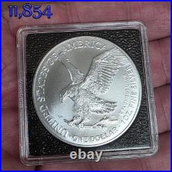 2021 SILVER EAGLE TYPE 2 1 OZ. FINE SILVER BULLION COIN in a INTERCEPT CAPSULE