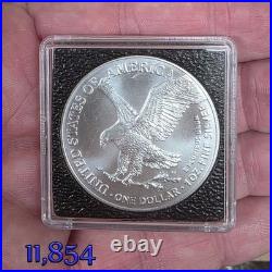 2021 SILVER EAGLE TYPE 2 1 OZ. FINE SILVER BULLION COIN in a INTERCEPT CAPSULE
