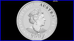 2022 1 Ounce 9999 Solid Silver Kangaroo Coin Free delivery 2-4 days in Austr