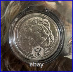 2022 5 Rand Series 2 BIG FIVE Lion South Africa 1oz Solid Silver. 999 Coin