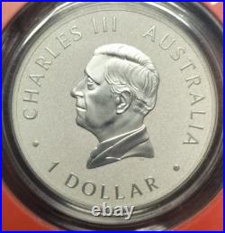 2025 1oz Solid SILVER Coin BEIJING INTERNATIONAL EXPO KOALA WITH PANDA PRIVY