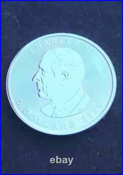 2026 CHARLES III CANADIAN MAPLE LEAF 1oz SOLID SILVER COIN IN CAPSULE 2026 CHARLES III CANADIAN MAPLE LEAF 1oz SOLID SILVER COIN IN CAPSULE