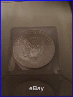 20x 1oz Solid Silver American Eagle Bullion Coins