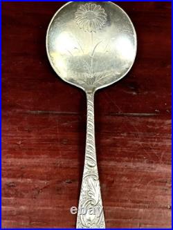 Antique Tilden Thurber & Co Small Serving Bullion Spoon Acid Etched Flower 18 G Antique Tilden Thurber & Co Small Serving Bullion Spoon Acid Etched Flower 18 G