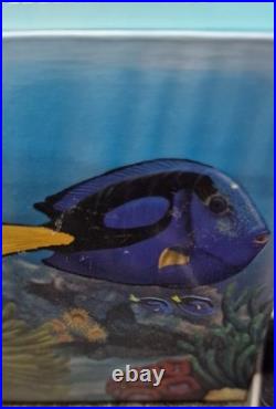 Australian 1/2 Oz Solid Silver 2012 Sea Life Surgeonfish