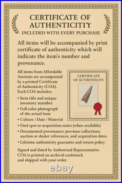 Certified Viking Age Solid Silver Tassel Pendant (800-1050 AD) German Find 55mm