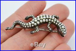 Fine Victorian SOLID SILVER & Seed Pearl LIZARD Brooch with Ruby Eyes Quality