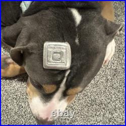 RARE! 100 gram Silver Bar Geiger Edelmetalle (Original Square Assay) Serial #