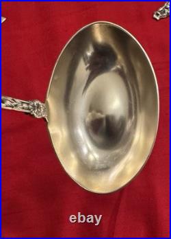 Rare Whiting Lily Sterling Bullion Ladle 1902 Old Mark Pat. Date