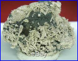 Solid Silver/Dendrites on Arsenic Pöhla / Erzgebirge Nugget/Specimen ged. S25