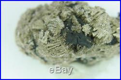 Solid Silver/Dendrites on Arsenic Pöhla / Erzgebirge Nugget/Specimen ged. S25