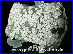 Solid Silver Reiche Level Crystals on Matrix, Nugget Canada 200 Gramm 96