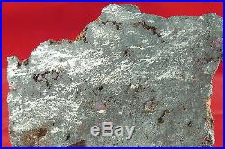 Solid Silver Reiche Level Crystals on Matrix, Nugget Canada 242 Gram 92