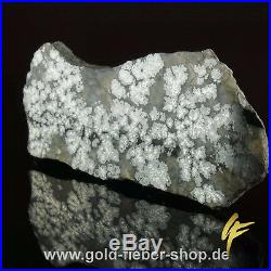 Solid Silver Reiche Level Crystals on Matrix, Nugget Canada 369 Gram 95