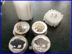 Solid silver liberty buffalo coins in tube of 20. One Troy Ounce each coin