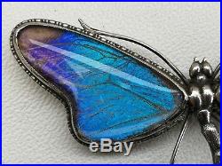 Vtg Art Nouveau c1910 Large Solid Silver Dragonfly Brooch Morpho Butterfly Wing