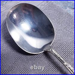 X1 HAMILTON & DIESINGER 1881-99 Sterling Silver 7 1/8 MONO'D BULLION SOUP SPOON